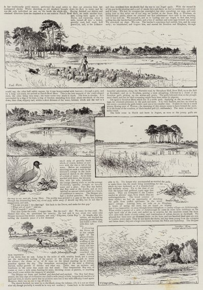 Norfolk Nooks by Charles J. Staniland
